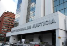 Gremio de Abogados sobre un nuevo precedente sobre el pago de leña: «La sentencia de la Audiencia Nacional no se corresponde con la interpretación del artículo, sino que lo reforma» | Economía | Noticias