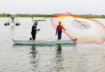 Según el Ministerio de la Producción, Ecuador recibió $1.304 millones en inversiones privadas en 2024. Economía | Noticias