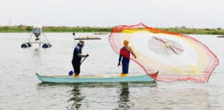 Según el Ministerio de la Producción, Ecuador recibió $1.304 millones en inversiones privadas en 2024. Economía | Noticias