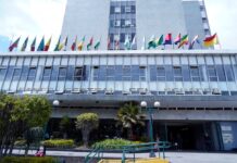 A 25 años de la dolarización: “Cerrar el banco central sería un alto riesgo y ningún beneficio” | Economía | Noticias