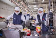 Carne de pavo de Ecuador regresa al mercado boliviano tras recertificar fábrica avícola | Economía | Noticias