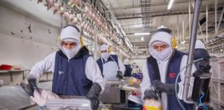 Carne de pavo de Ecuador regresa al mercado boliviano tras recertificar fábrica avícola | Economía | Noticias