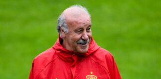 Vicente del Bosque deja su cargo de director de una filial de Iberdrola tras más de 10 años | Buscar