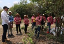 Ministerio de Agricultura habilita mecanismo de quejas y reclamos para productores participantes en proyecto Desatar | Economía | Noticias
