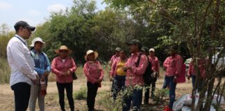 Ministerio de Agricultura habilita mecanismo de quejas y reclamos para productores participantes en proyecto Desatar | Economía | Noticias