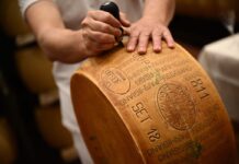 El parmesano se derrite frente a Donald Trump | Negocio