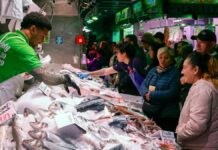 Seis de cada diez autónomos ganaron en 2024 lo mismo o más que el año anterior Negocio