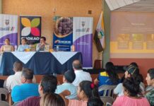 80 Productores de Cacao de El Oro se preparan para participar en rueda de negocios | Economía | Noticias