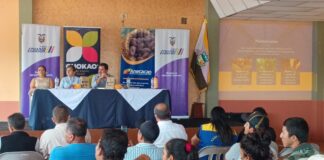 80 Productores de Cacao de El Oro se preparan para participar en rueda de negocios | Economía | Noticias