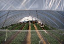 Radiografía de los salarios españoles: Los trabajadores bancarios de Madrid ganan casi nueve veces más que los pescadores y agricultores andaluces | Negocio