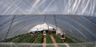 Radiografía de los salarios españoles: Los trabajadores bancarios de Madrid ganan casi nueve veces más que los pescadores y agricultores andaluces | Negocio