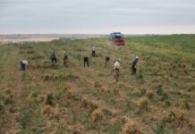 El ajo español pica la competencia Negocio