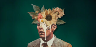 La publicación arroja una IA que pone las alas en el «lavado verde»