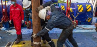 Petrolia se pronuncia en la concesión del campo Sacha: «Se propuso transparentemente» | Economía | Noticias