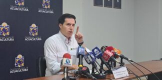 El sector Camaronero responde al presidente de México: «Respetamos el gusto de la Sra. Sheinbaum, aunque el mundo es más sofisticado» | Economía | Noticias