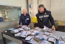 El crimen de drogas se extiende: por lo que se llena el mercado de medicamentos falsos de Ozempic a Botox Negocio