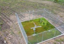 Proyecto fotovoltaico Matala en proyectos Loja para generar 100 megavatios | Economía | Noticias