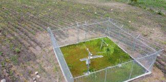 Proyecto fotovoltaico Matala en proyectos Loja para generar 100 megavatios | Economía | Noticias