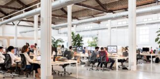 Summa Branding logró el reconocimiento en 2024