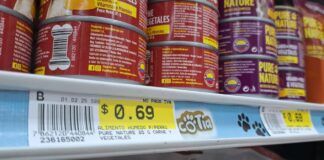 Alimentos sin IVA e incluso seguro de salud, las mascotas son un nicho cada vez más visible | Economía | Noticias