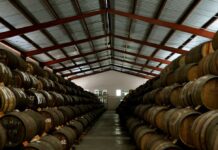 Ron Puntacana de la compañía dominicana Casa Oliver es embotellada y vendida en Ecuador. Este será su socio local su economía Noticias