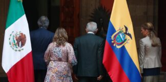 Ex comercio exterior: «Las tarifas afectan a Ecuador más que a México» | Economía | Noticias