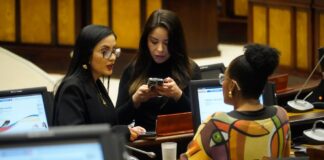 Las correcciones son impulsadas por el debate y el control de la conveniencia de otorgar el campo SACHA al estado o subsidiaria | Política | Noticias