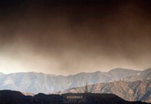 Hollywood vive una película de terror | Negocio