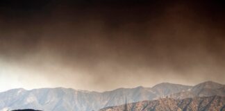 Hollywood vive una película de terror | Negocio