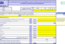 Formulario de proyección para gastos personales de 2025 | Economía | Noticias