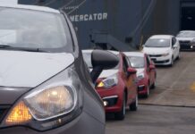 Estas son las únicas cinco provincias que crecieron para la venta de vehículos nuevos en enero de 2025 | Economía | Noticias