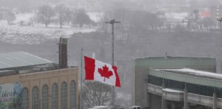 ¿Qué especialistas ecuatorianos en Canadá tienen oportunidades con el acuerdo comercial? | Economía | Noticias