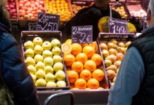 El alquiler de familias excedió en el tercer trimestre de 2024 | Negocio