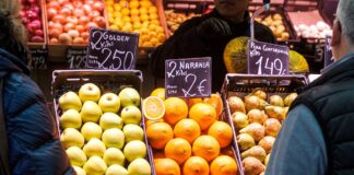 El alquiler de familias excedió en el tercer trimestre de 2024 | Negocio