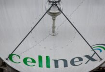 Cellnex anuncia un ERE en dos subsidiarias que afectan a 250 empleados | Buscar