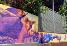 El Cyranos revoluciona su estructura con nuevas áreas y talentos.