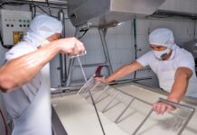 Acuerdos comerciales: las hojas de tabaco, los productos lácteos y la carne de pollo también procesan sus permisos de fitosictesis para lograr China | Economía | Noticias