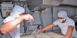 Acuerdos comerciales: las hojas de tabaco, los productos lácteos y la carne de pollo también procesan sus permisos de fitosictesis para lograr China | Economía | Noticias