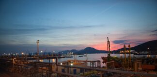 Bunge, el rey de la soja vive horas bajas | Negocio