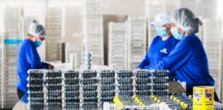 Acuerdo comercial: los productos lácteos y los arándanos ecuatorianos juegan la puerta del mercado chino | Economía | Noticias