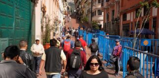 El desempleo en las mujeres era, según INEC | Reducido en febrero de 2025, por lo que INEC | Economía | Noticias