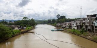 Estos son los siete bonos activados por el gobierno para visitar emergencias y mover dinero en las noticias económicas
