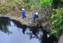 Daniel Nemaa le pide a Petroecuador que asuma su responsabilidad después de la contaminación del petróleo en Quinindé | Política | Noticias