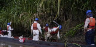 El informe sobre la contaminación del petróleo en Esmeraldas está «reservado», dice el ministro de Daniel Nemaa | Política | Noticias