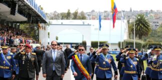 Estos son los lazos y las acciones que el régimen de Daniel Nemaa ofreció reactivar la economía | Informes | Noticias