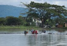 Nuevo bono de $ 800 para productores afectados por el invierno | Economía | Noticias