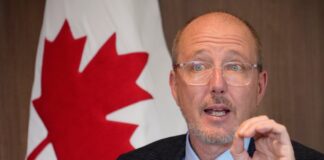 Embajador de Canadá en Ecuador: La tarifa no está de acuerdo, rápidamente se convierte más en las exportaciones ecuatorianas | Economía | Noticias