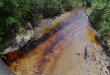 La gente habla de un petroecuador de autoevaluación | Economía | Noticias