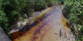 La gente habla de un petroecuador de autoevaluación | Economía | Noticias