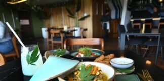 Las nuevas reglas gobiernan para la industria del cannabis no psicoactiva y la industria -Hemp en Ecuador | Economía | Noticias